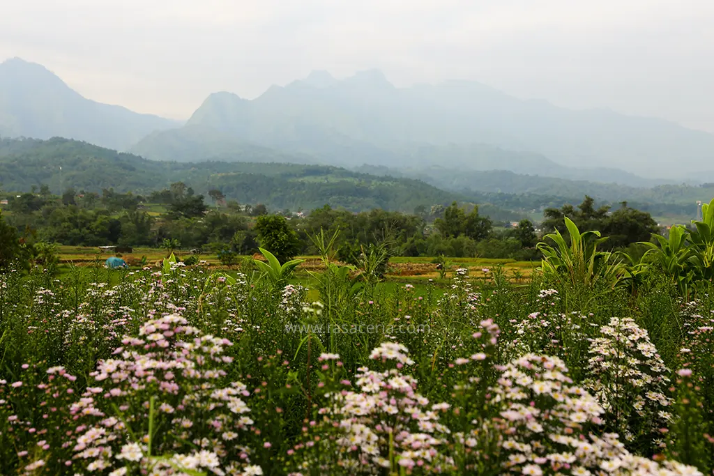 Sejuk pemandangan pegunungan Punggung Naga Mojokerto